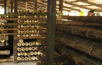 treatment kayu bambu